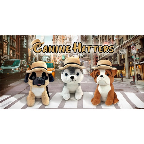 10IN DOGS WITH HAT ASST