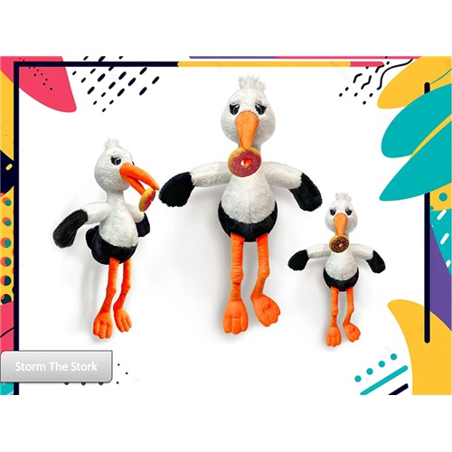 30IN STORM THE STORK